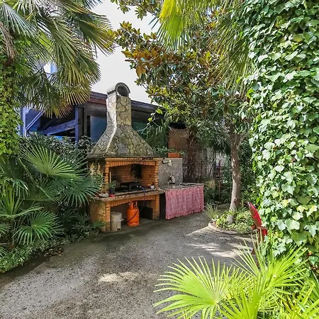 Jelena * بوريتش