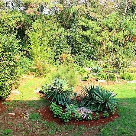 Jelena Apartment Porec